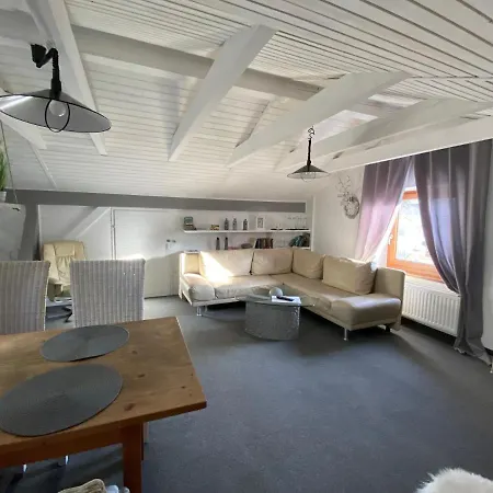 Haus Flora 公寓 福森